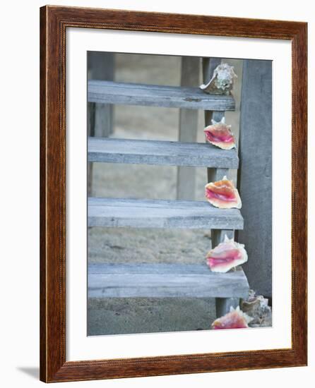 Steps, Caye Caulker, Belize-Russell Young-Framed Photographic Print