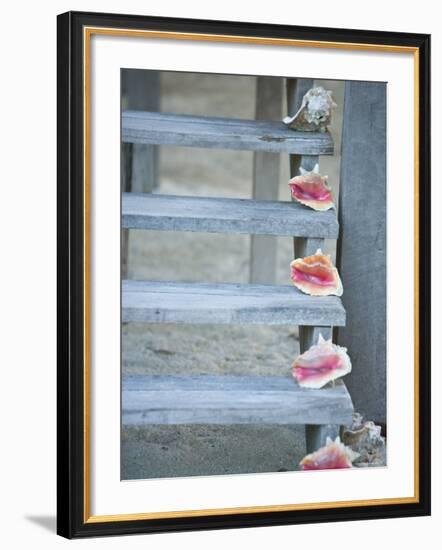 Steps, Caye Caulker, Belize-Russell Young-Framed Photographic Print