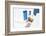 steps down to blue-Linda Wride-Framed Photographic Print