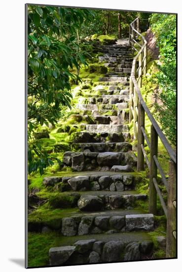 Steps III-Brian Moore-Mounted Photographic Print