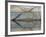 Steps mirrored on small lake, Jodhpur, India-Adam Jones-Framed Photographic Print