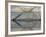 Steps mirrored on small lake, Jodhpur, India-Adam Jones-Framed Photographic Print