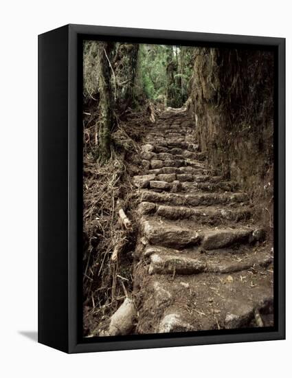 Steps on the Inca Trail, Peru, South America-Rob Cousins-Framed Premier Image Canvas