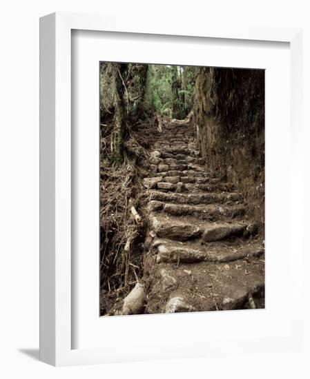 Steps on the Inca Trail, Peru, South America-Rob Cousins-Framed Photographic Print