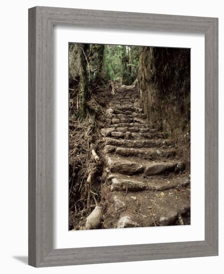 Steps on the Inca Trail, Peru, South America-Rob Cousins-Framed Photographic Print