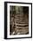 Steps on the Inca Trail, Peru, South America-Rob Cousins-Framed Photographic Print