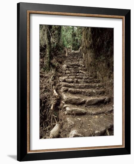 Steps on the Inca Trail, Peru, South America-Rob Cousins-Framed Photographic Print