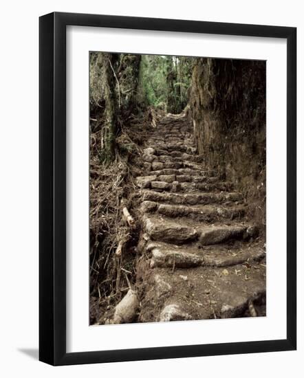 Steps on the Inca Trail, Peru, South America-Rob Cousins-Framed Photographic Print