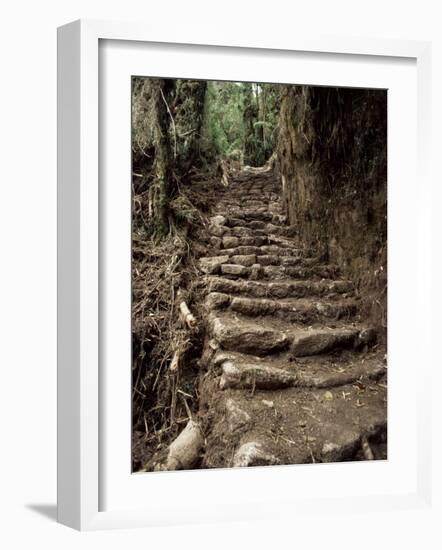 Steps on the Inca Trail, Peru, South America-Rob Cousins-Framed Photographic Print