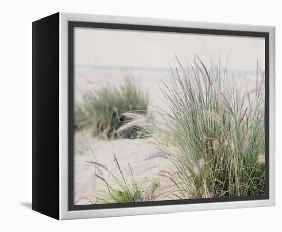 Steps To The Beach III-Elizabeth Urquhart-Framed Stretched Canvas