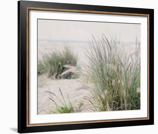 Steps To The Beach III-Elizabeth Urquhart-Framed Photo