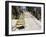 Steps, Valparaiso, Chile-Peter Groenendijk-Framed Photographic Print