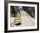 Steps, Valparaiso, Chile-Peter Groenendijk-Framed Photographic Print