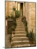 Steps with plants outside historic stone house, Trogir, Dalamatia, Croatia-Merrill Images-Mounted Photographic Print