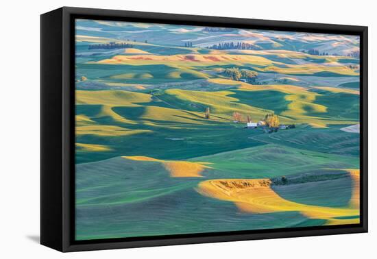 Steptoe Butte State Park, Washington. Sunset view of wheat farms in the rolling Palouse hills.-Emily Wilson-Framed Premier Image Canvas