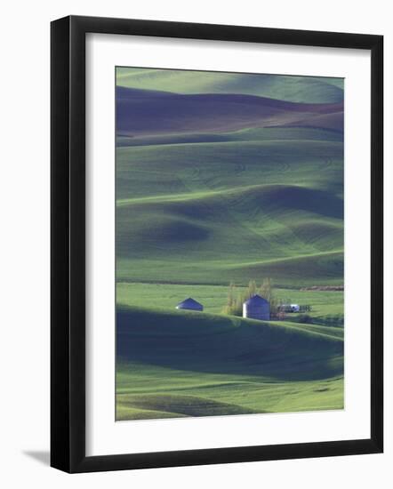 Steptoe Butte State Park, Washington, USA,-Gavriel Jecan-Framed Photographic Print