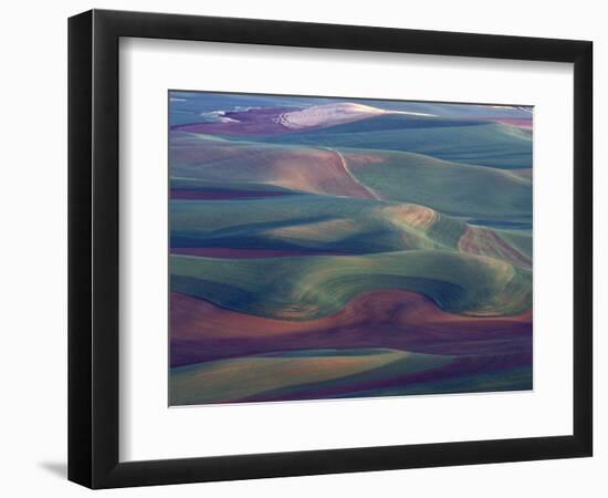 Steptoe Butte State Park, Washington, USA,-Gavriel Jecan-Framed Photographic Print