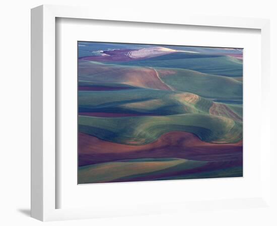 Steptoe Butte State Park, Washington, USA,-Gavriel Jecan-Framed Photographic Print