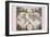 Stereographic Map of the World with Classical Illustration-Gerard Valk-Framed Art Print