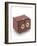 Stereoscopic Sliding Box Camera-J. J. Pyne-Framed Giclee Print