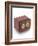 Stereoscopic Sliding Box Camera-J. J. Pyne-Framed Giclee Print