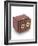 Stereoscopic Sliding Box Camera-J. J. Pyne-Framed Giclee Print