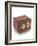 Stereoscopic Sliding Box Camera-J. J. Pyne-Framed Giclee Print