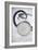 Stethoscope-Arno Massee-Framed Photographic Print