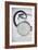 Stethoscope-Arno Massee-Framed Photographic Print