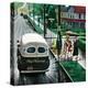 Stretched Canvas Print
