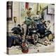 Stretched Canvas Print