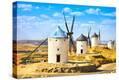 Stretched Canvas Print