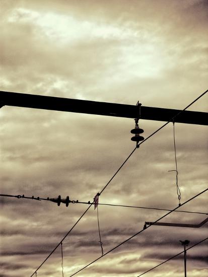 Photographic Print, , large