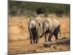 Photographic Print