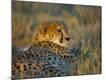 Photographic Print