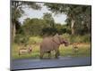 Photographic Print