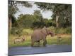 Photographic Print