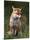 Photographic Print