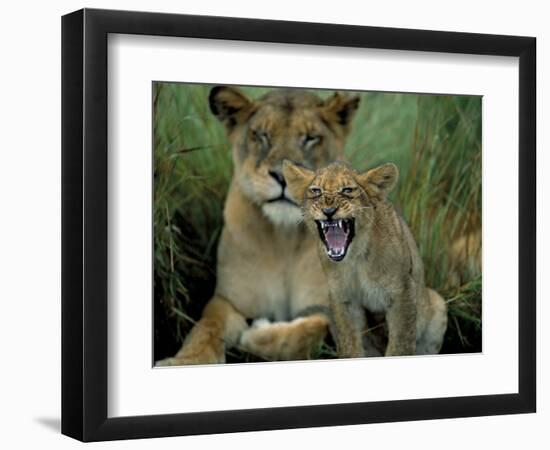 Photographic Print, , large