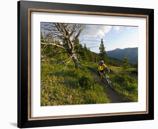 Steve Bjorklund Rides the Singletrack of the Bangtail Ridge Trail Near Bozeman, Montana, Usa Mr-Chuck Haney-Framed Photographic Print