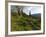 Steve Bjorklund Rides the Singletrack of the Bangtail Ridge Trail Near Bozeman, Montana, Usa Mr-Chuck Haney-Framed Photographic Print