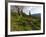 Steve Bjorklund Rides the Singletrack of the Bangtail Ridge Trail Near Bozeman, Montana, Usa Mr-Chuck Haney-Framed Photographic Print