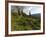 Steve Bjorklund Rides the Singletrack of the Bangtail Ridge Trail Near Bozeman, Montana, Usa Mr-Chuck Haney-Framed Photographic Print