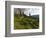 Steve Bjorklund Rides the Singletrack of the Bangtail Ridge Trail Near Bozeman, Montana, Usa Mr-Chuck Haney-Framed Photographic Print