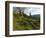 Steve Bjorklund Rides the Singletrack of the Bangtail Ridge Trail Near Bozeman, Montana, Usa Mr-Chuck Haney-Framed Photographic Print