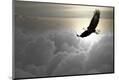 Premium Photographic Print