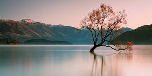 Sunrise at Lake Wanaka-Steve Daggar Photography-Mounted Photographic Print