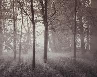 Through the Dunes-Steve Docwra-Framed Giclee Print