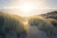 Through the Dunes-Steve Docwra-Framed Giclee Print