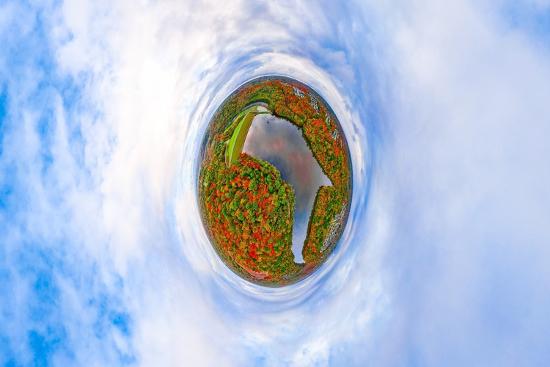 Photographic Print, , large